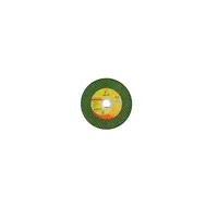 不锈钢/金属切片 图1